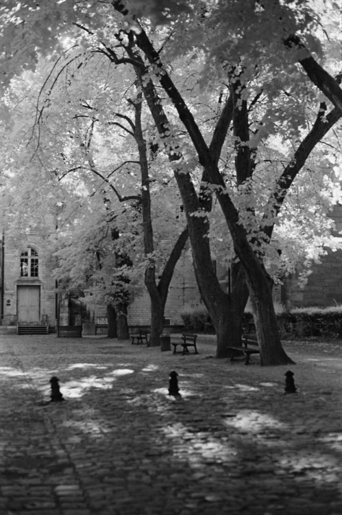 Square des Bénédictins