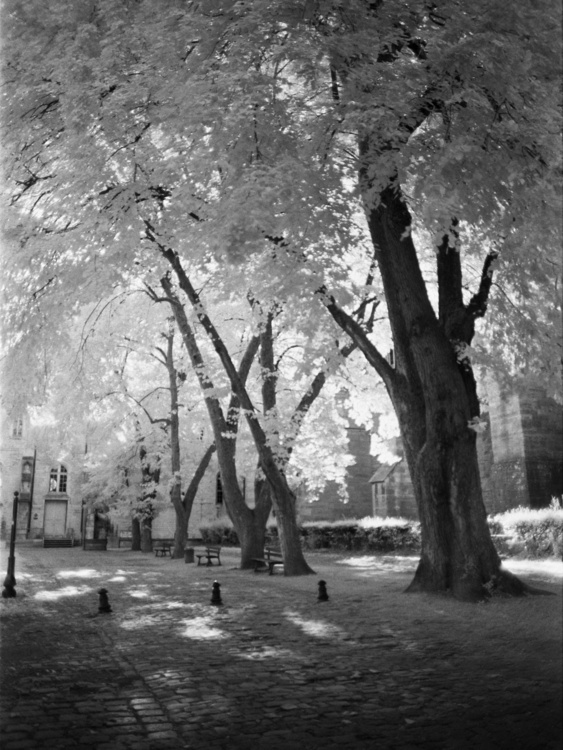 Square des Bénédictins