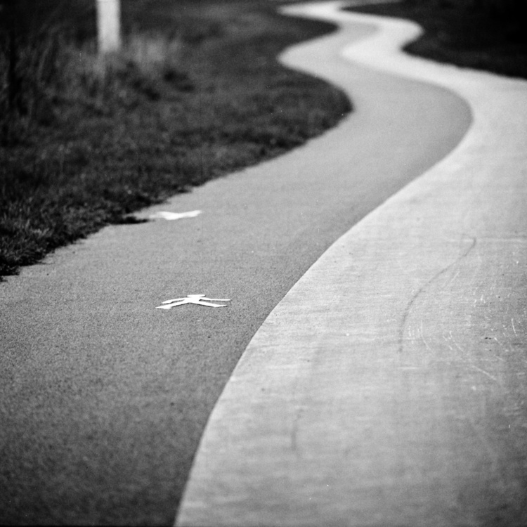 Piste cyclable