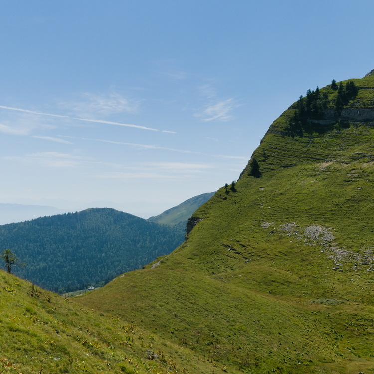 Montrond