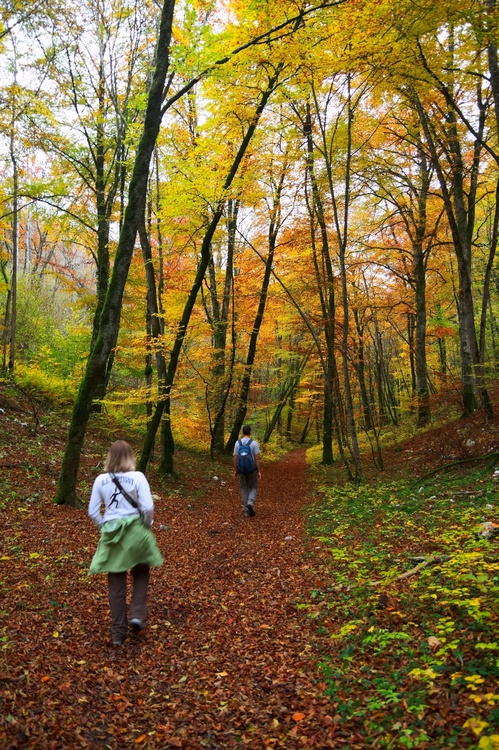 Chemin