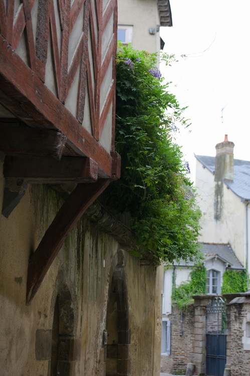 Maisons à pans-de-bois