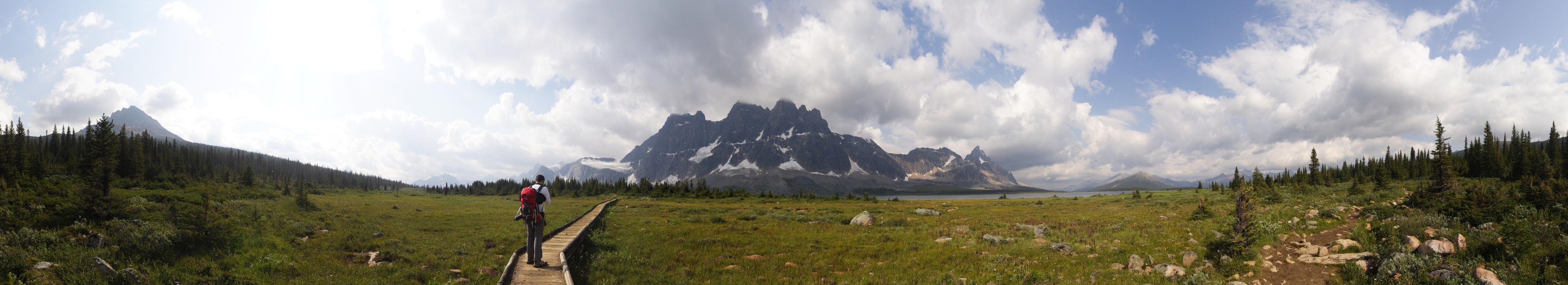 Marais de la vallée Tonquin
