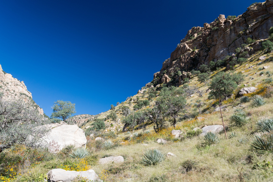 Ventana canyon