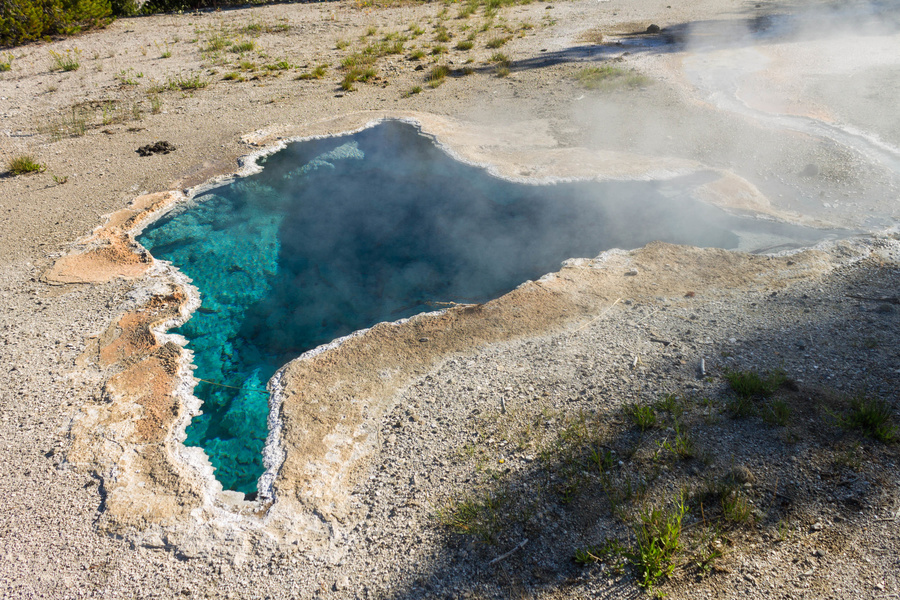 Blue Star Spring