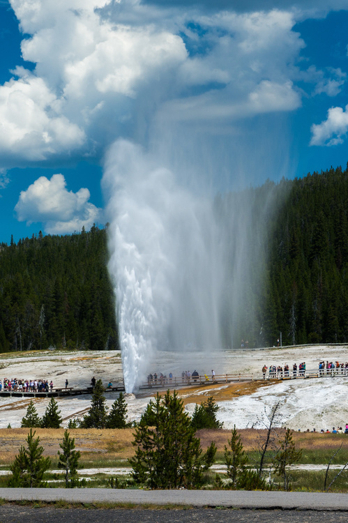 Beehive Geyser