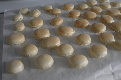 Macarons