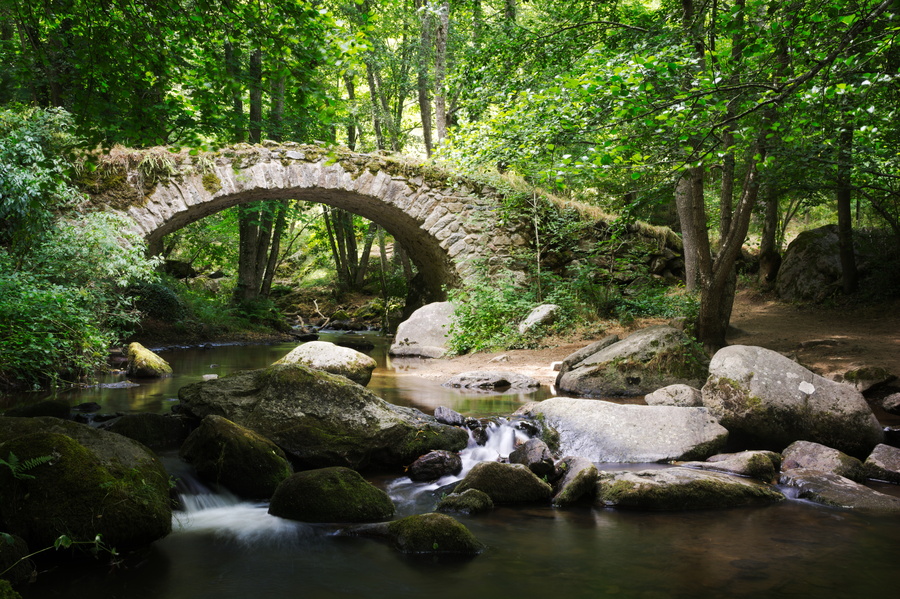 Gorges de la Monne