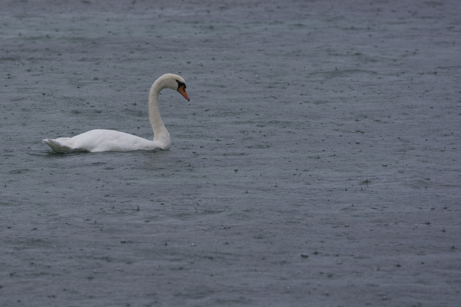 Lac d'Annecy