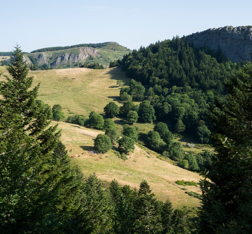 Les Pradoux