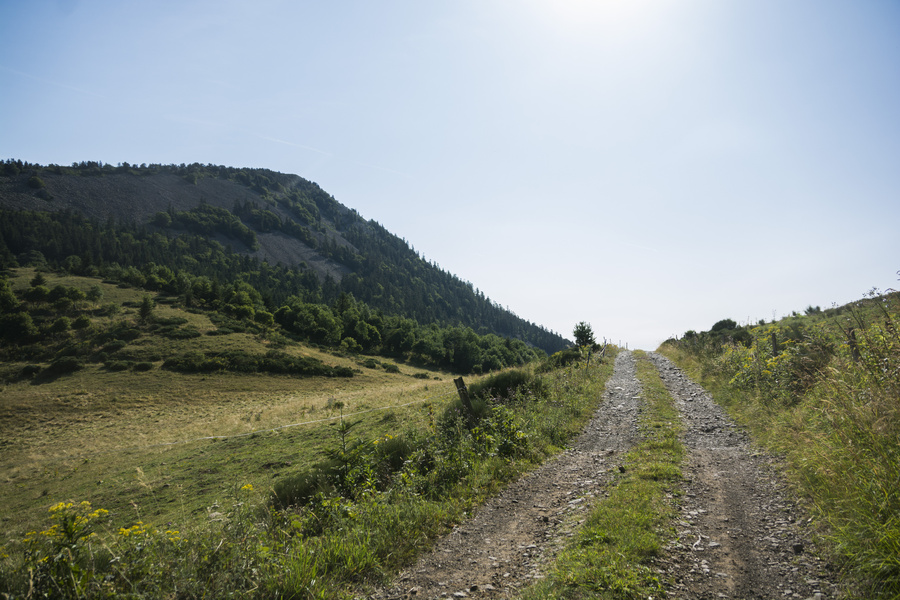 Rouzet
