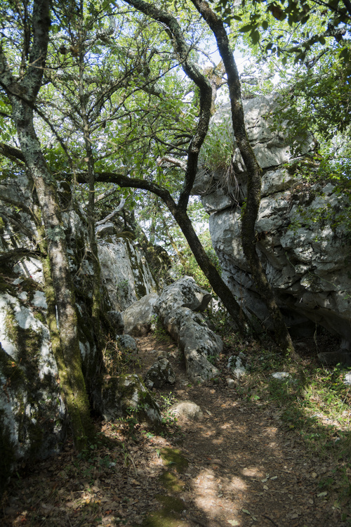Bois de Païolive