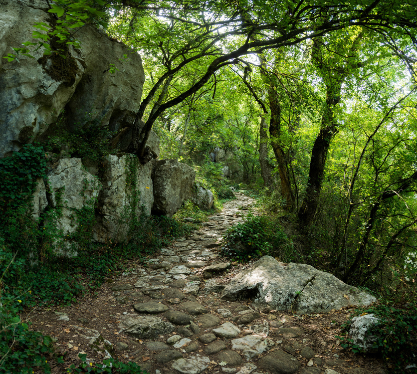 Bois de Païolive