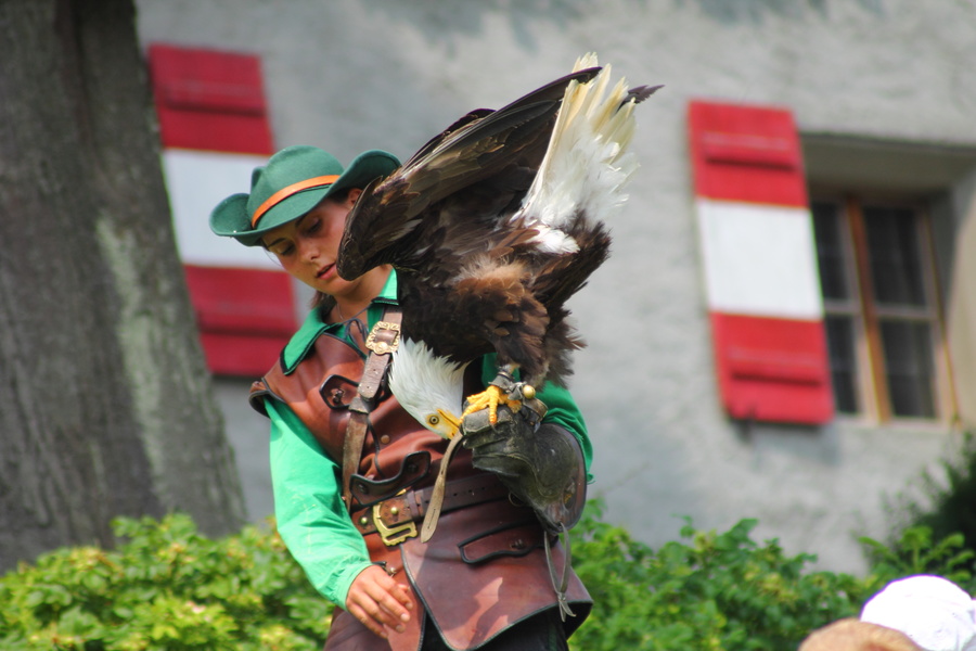 Aigle