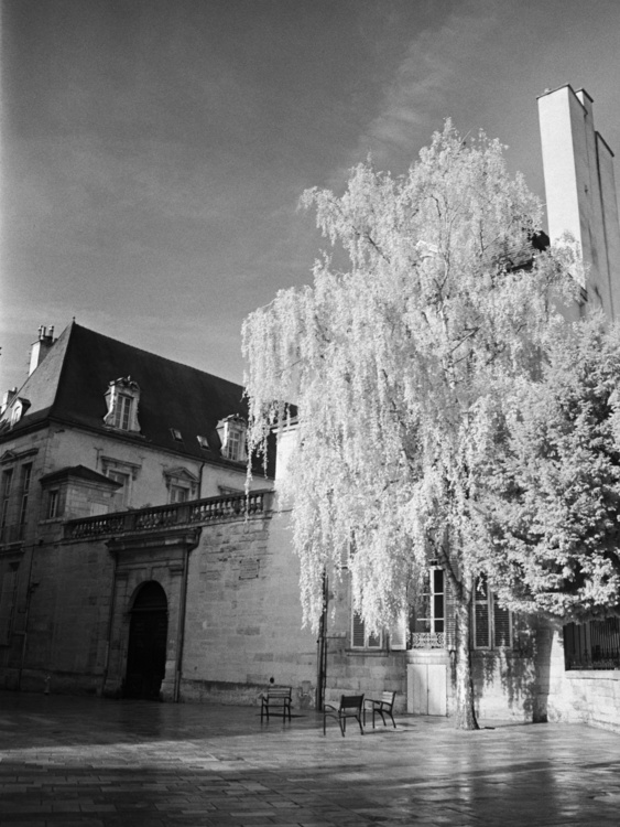 Place Saint-Fiacre