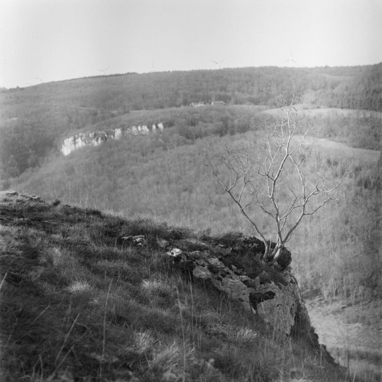 Bouilland
