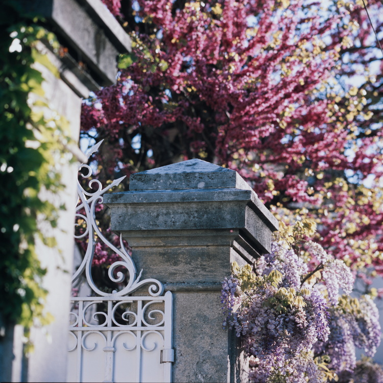 Couleurs de printemps