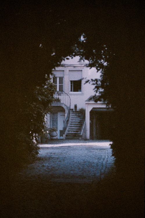 Cour dijonaise