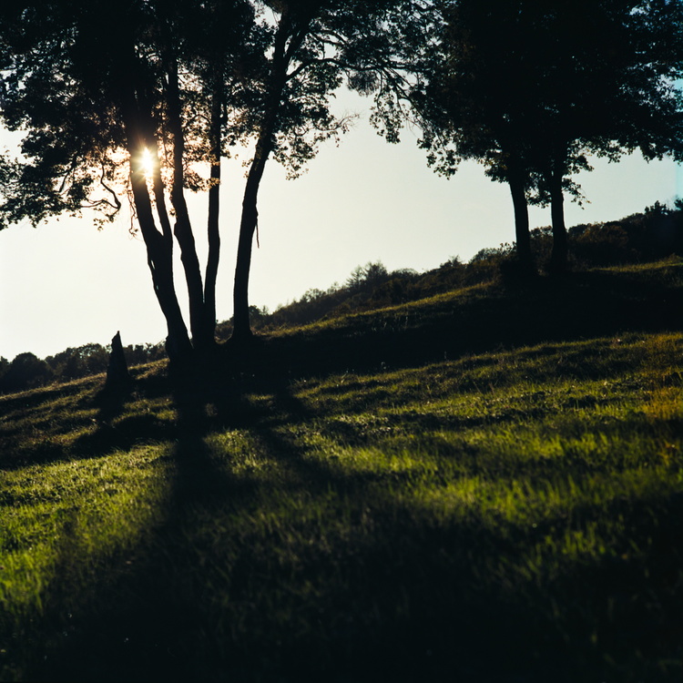 Ombres