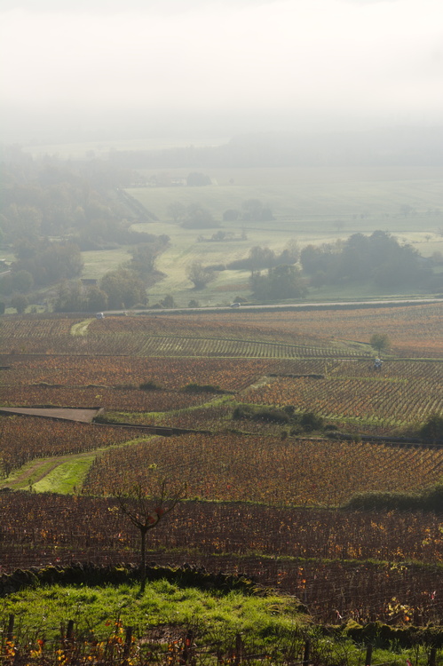 Depuis Corton