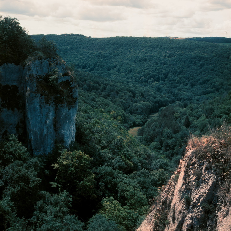 Combe à la Vieille