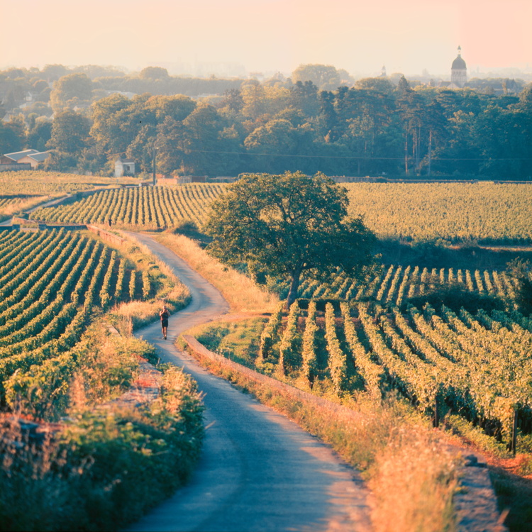 Chemin des Cras