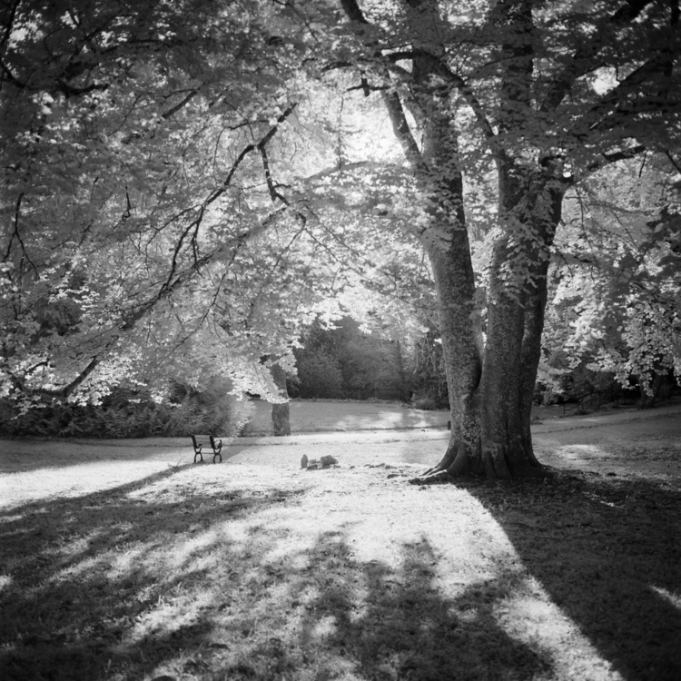 Parc de la Bouzaize