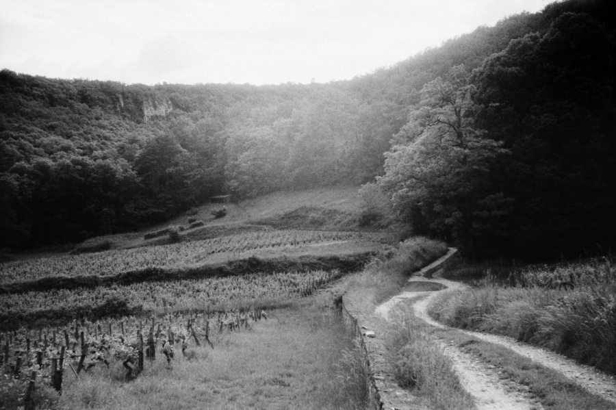 Combe Lavaux