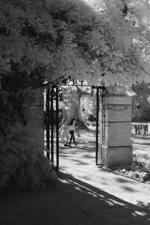 Jardin de l'Arquebuse