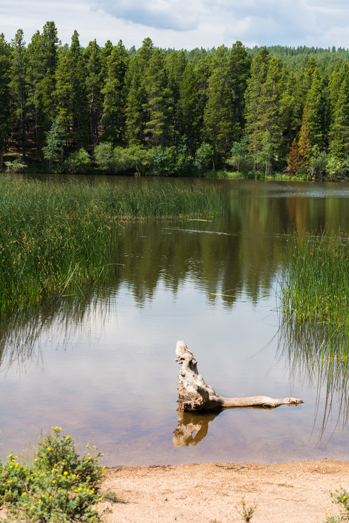 Mud Lake