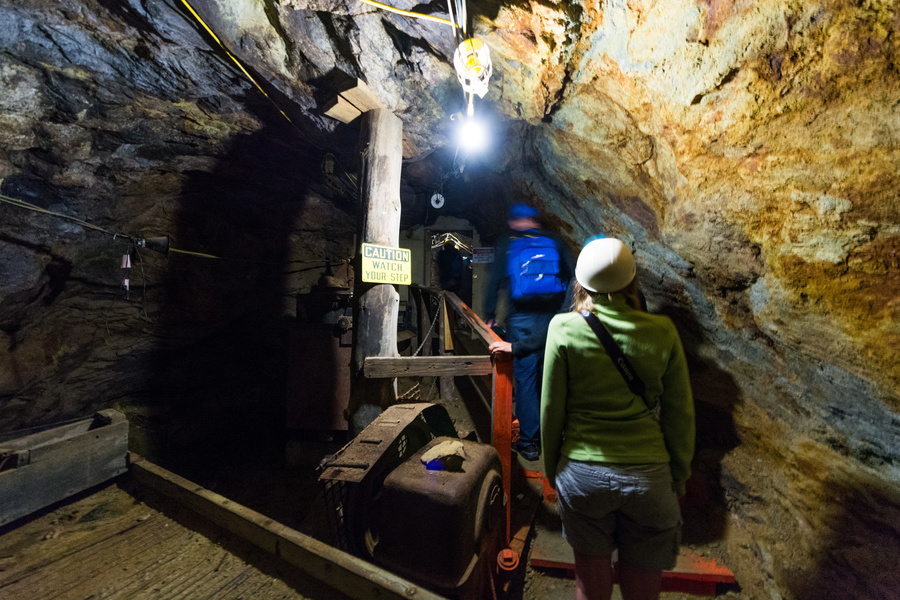 Phoenix Gold Mine