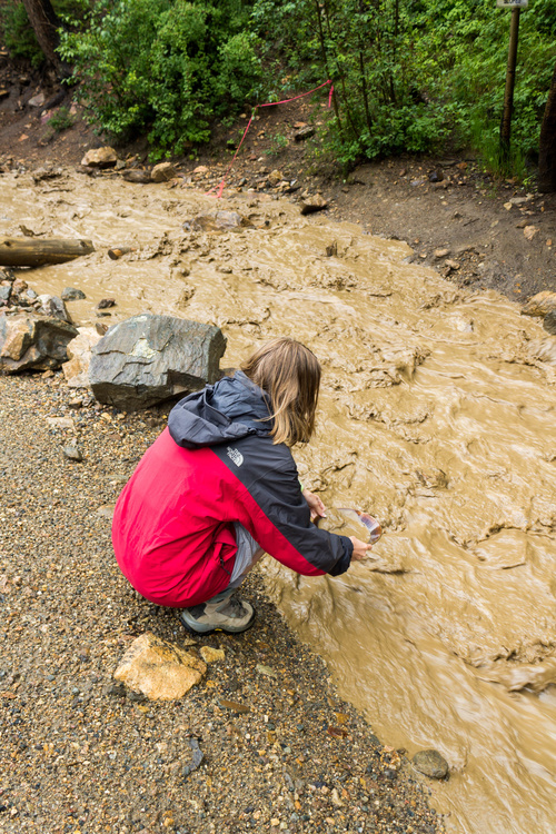 Gold Panning