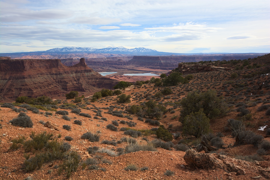 Canyon du Colorado