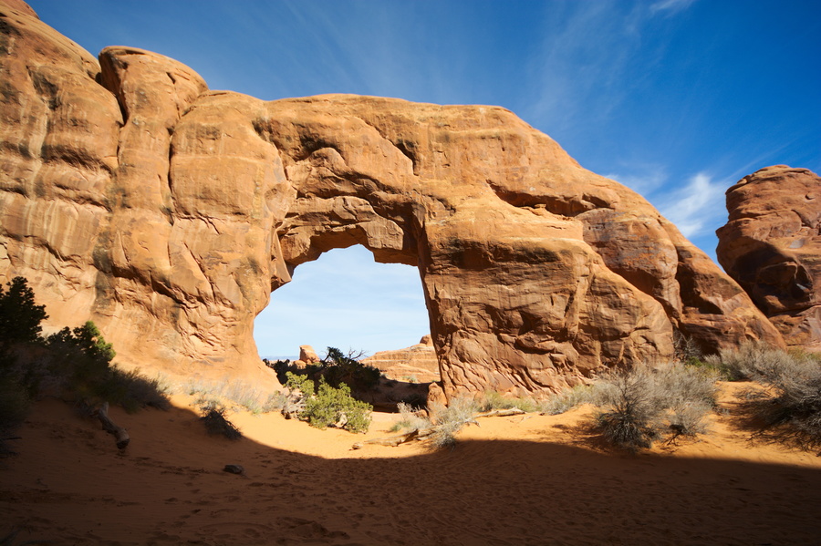 Pine Tree Arch