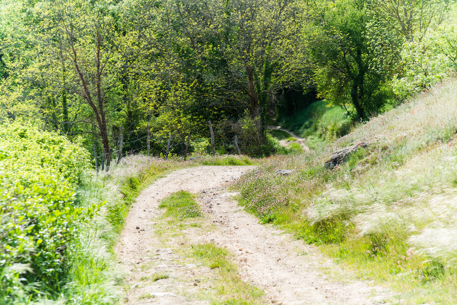 Descente au ruisseau