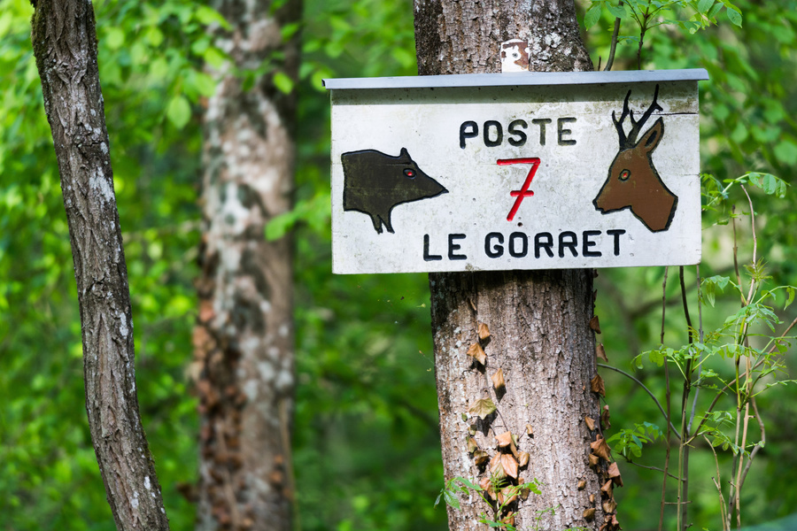 Le gorret