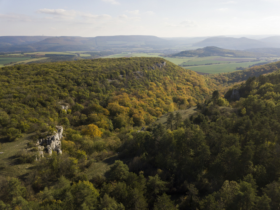 Combe aux mammouths