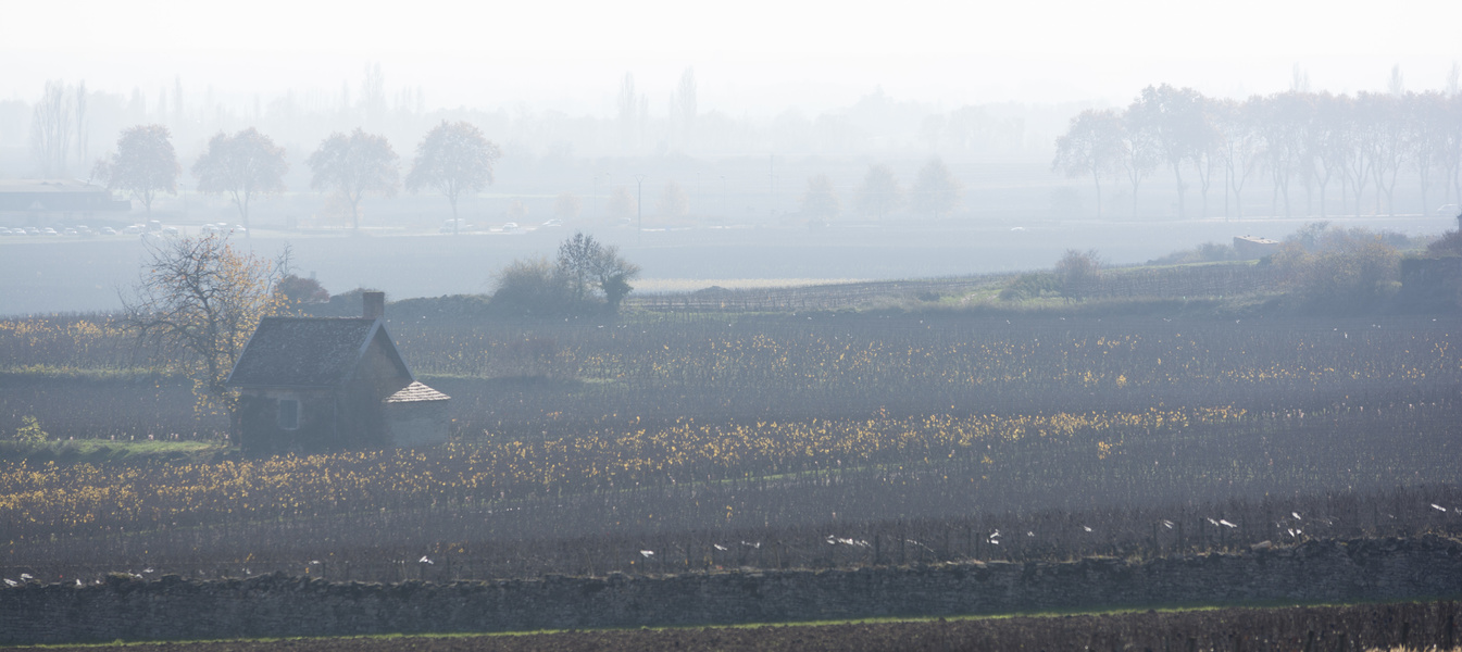 Beaune