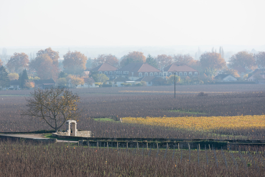 Beaune