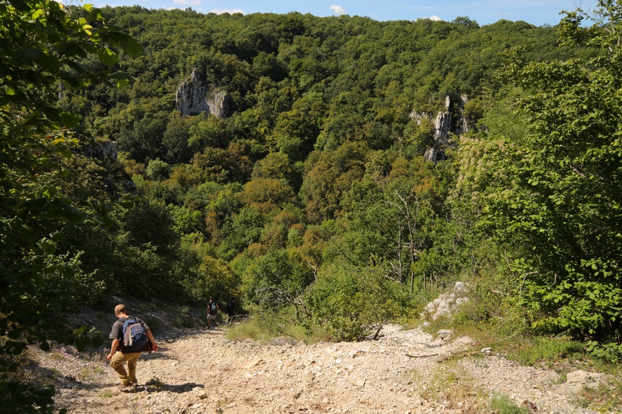 Combe d'Orveaux