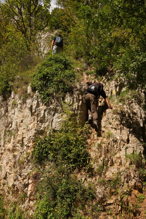 Combe de Chambolle-Musigny