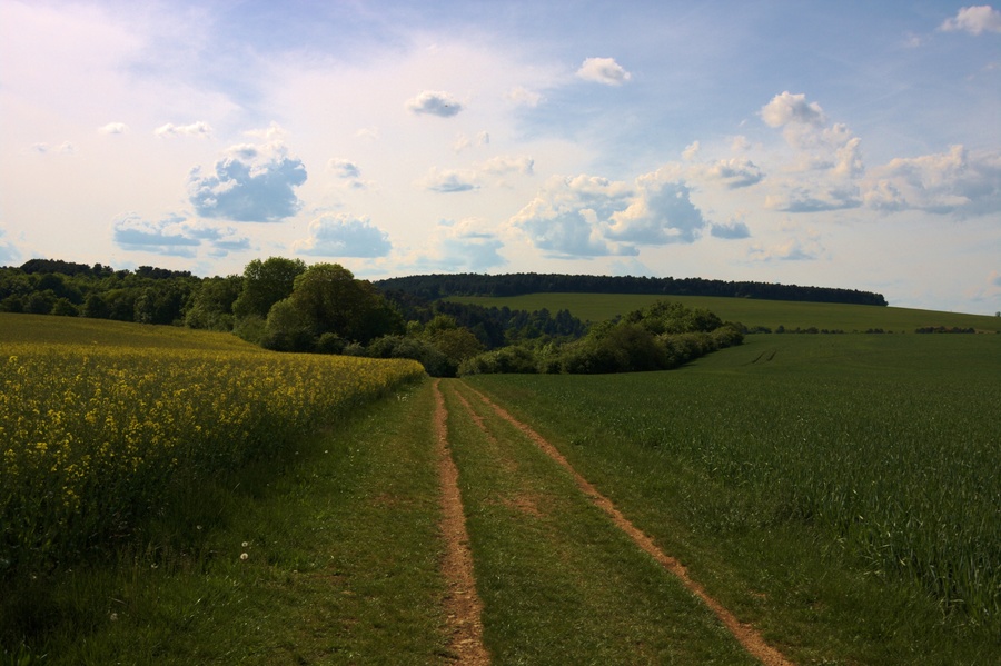 Combe a la serpent