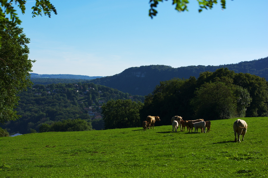 Baume-les-Dames