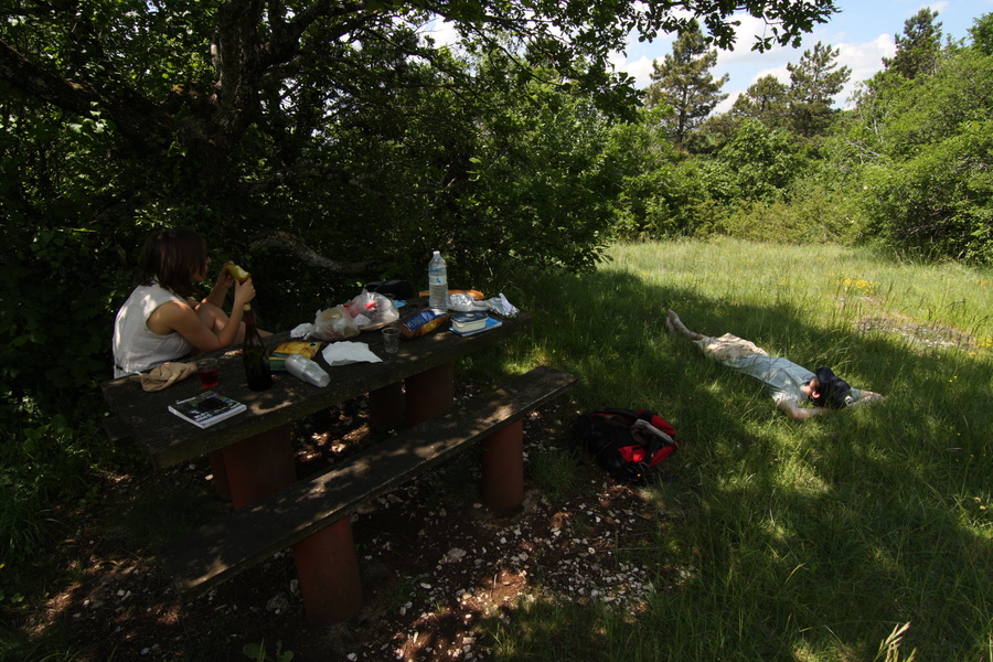 Picnic frugal