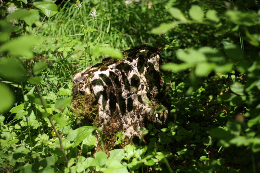 Une borne