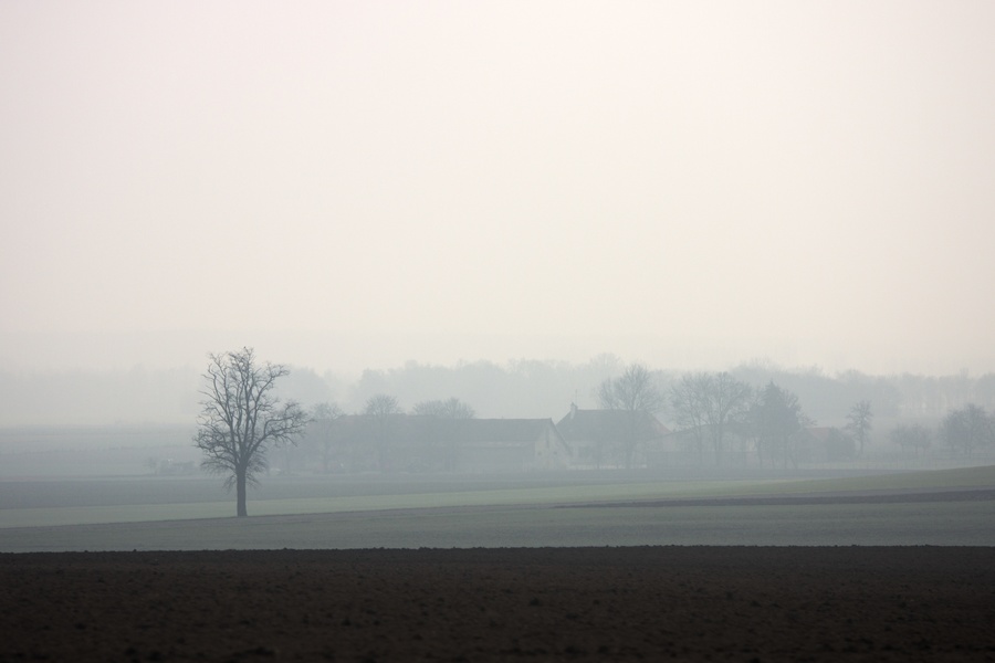 Une ferme