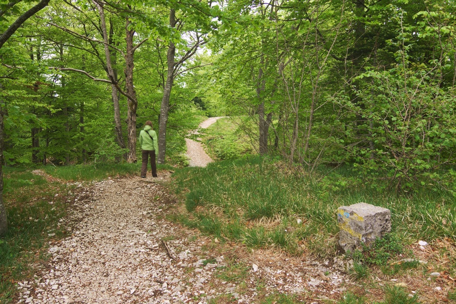 Sentier