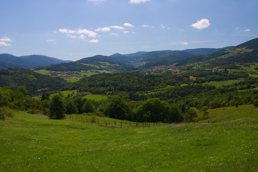 Gerlande