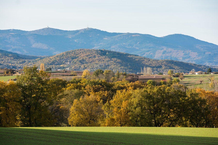 Le Pilat