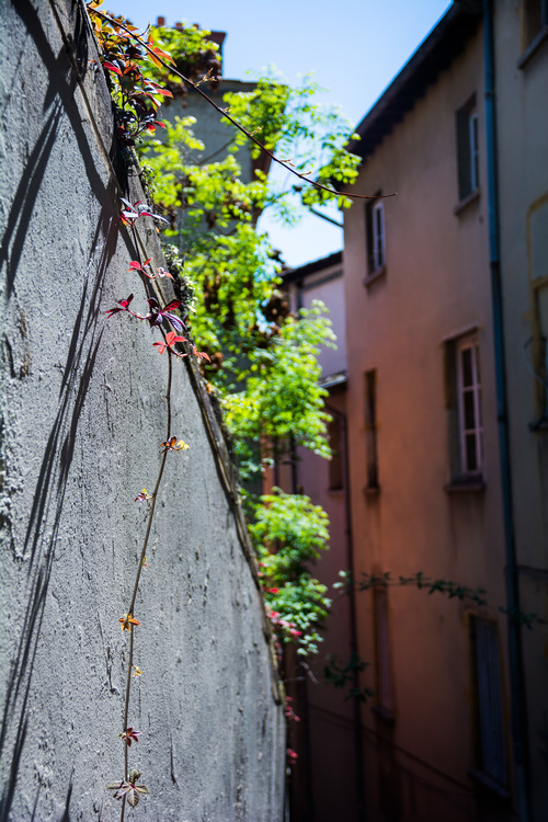 Rues lyonnaises